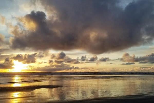 Mermaid Cottage 1-Bedroom Beach Cottage Grayland エクステリア 写真